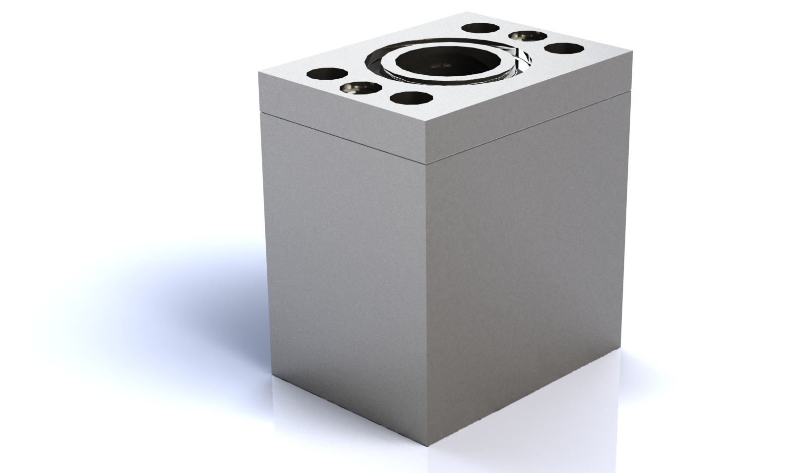 Check Valves CVS-1N
